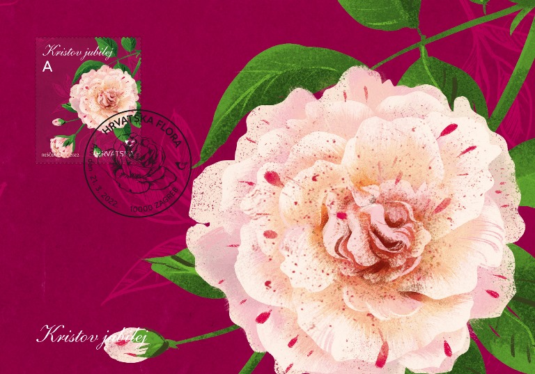 HRVATSKA FLORA – RUŽE, Kristov jubilej