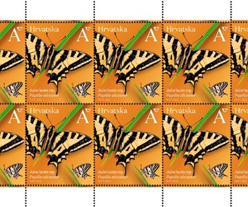 HRVATSKA FAUNA – LEPTIRI, južni lastin rep