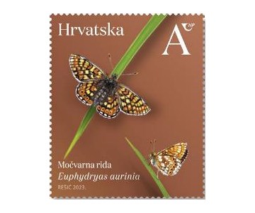 HRVATSKA FAUNA – LEPTIRI, močvarna riđa