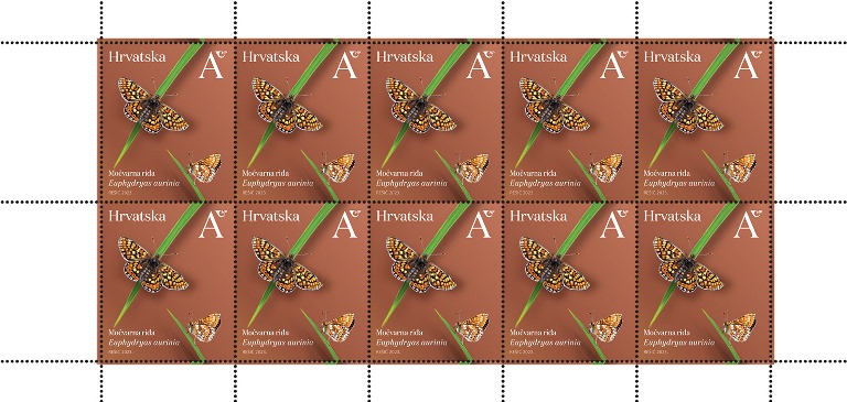 HRVATSKA FAUNA – LEPTIRI, močvarna riđa