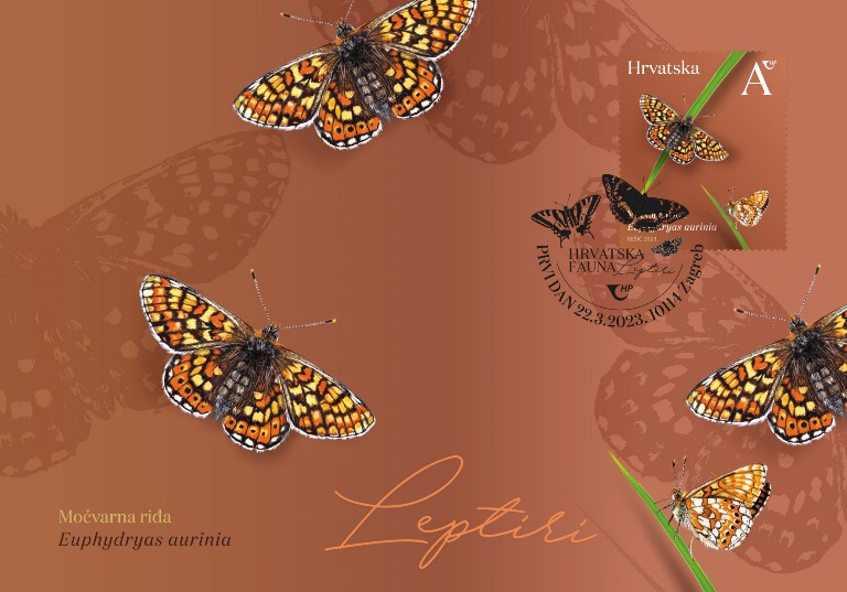 HRVATSKA FAUNA – LEPTIRI, močvarna riđa