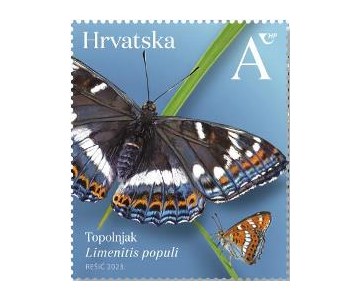 HRVATSKA FAUNA – LEPTIRI, topolnjak