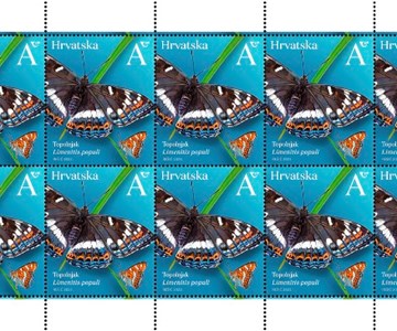 HRVATSKA FAUNA – LEPTIRI, topolnjak