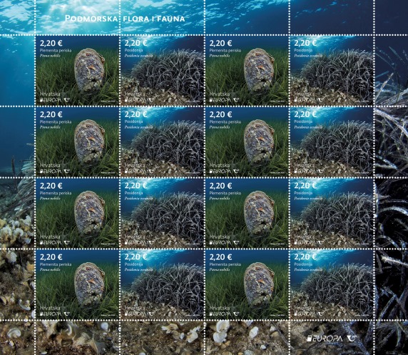 EUROPA – Podmorska flora i fauna,