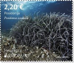 EUROPA – Podmorska flora i fauna, Posidonija