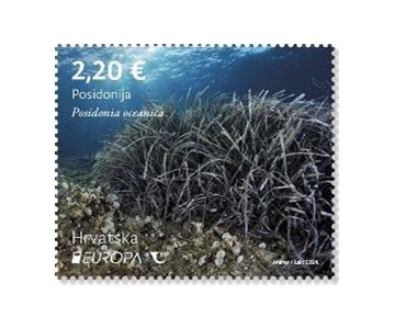 EUROPA – Podmorska flora i fauna, Posidonija