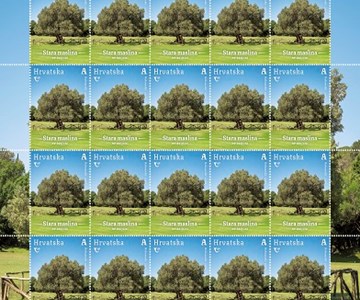 HRVATSKA FLORA – MONUMENTALNA STABLA HRVATSKE