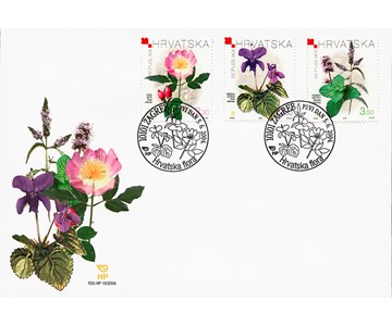 HRVATSKA FLORAVII.  - LJEKOVITO BILJE