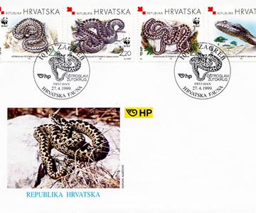 HRVATSKA FAUNA - OŠTROGLAVI ŽUTOKRUG