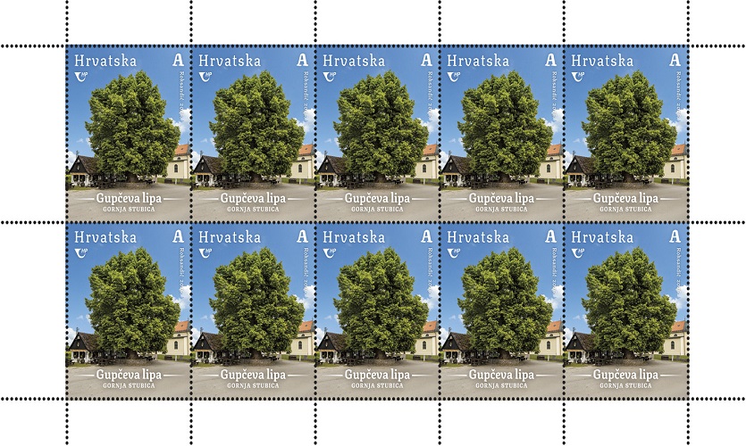 HRVATSKA FLORA,  Gupčeva lipa u Gornjoj Stubici