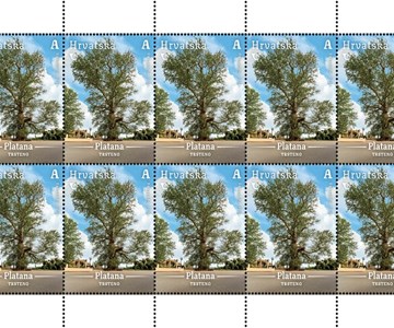 HRVATSKA FLORA – MONUMENTALNA STABLA HRVATSKE