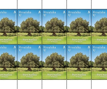 HRVATSKA FLORA – MONUMENTALNA STABLA HRVATSKE