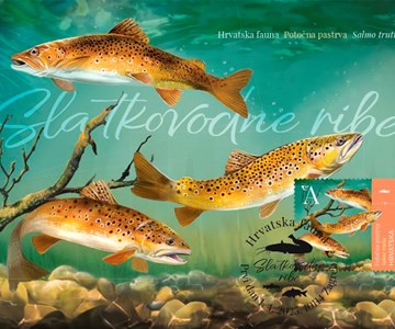 Potočna pastrva