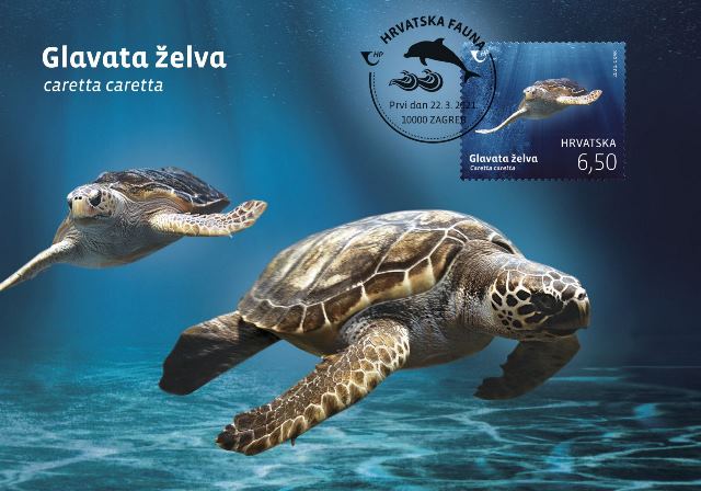 HRVATSKA FAUNA - GLAVATA ŽELVA