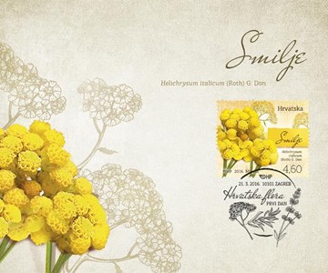 HRVATSKA FLORA - SMILJE