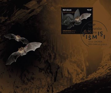 HRVATSKA FAUNA - ŠIŠMIŠI, Riđi šišmiš
