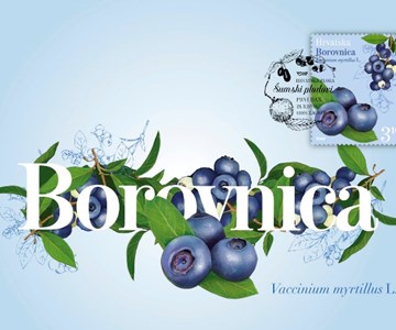 HRVATSKA FLORA