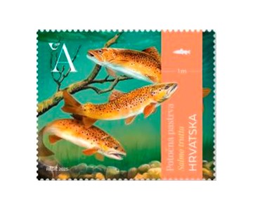 HRVATSKA FAUNA – SLATKOVODNE RIBE, Potočna pastrva 