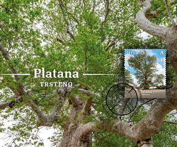HRVATSKA FLORA – MONUMENTALNA STABLA HRVATSKE