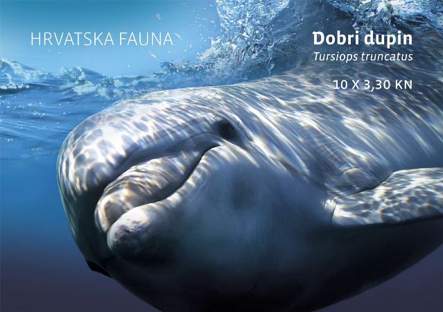 HRVATSKA FAUNA - DOBRI DUPIN