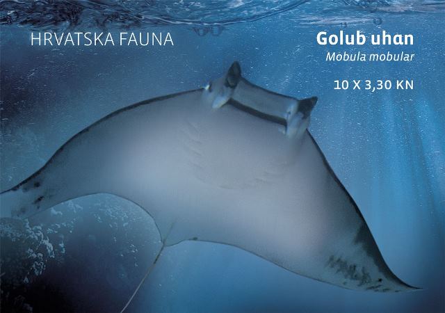 HRVATSKA FAUNA – GOLUB UHAN