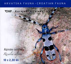 HRVATSKA FAUNA - Alpinska cvilidreta Rosalia alpina