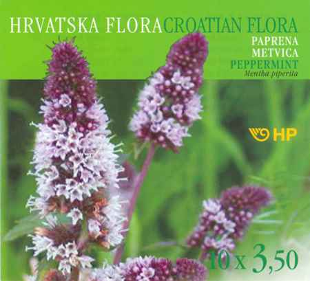 HRVATSKA FLORA - PAPRENA METVICA - Mentha piperita (L.) HUDS.