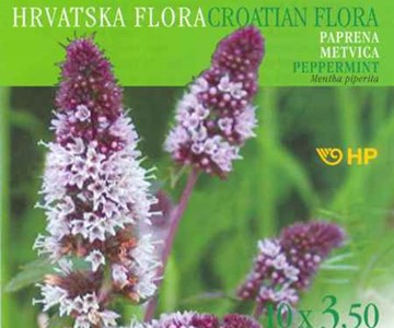 HRVATSKA FLORA - PAPRENA METVICA - Mentha piperita (L.) HUDS.