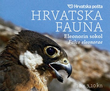 HRVATSKA FAUNA - Eleonorin sokol