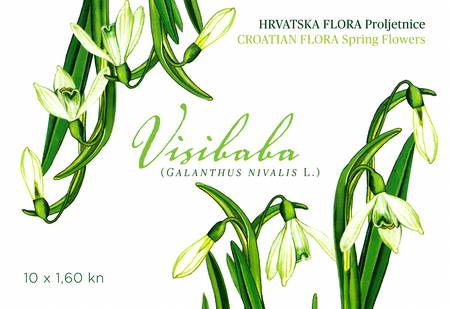 VISIBABA