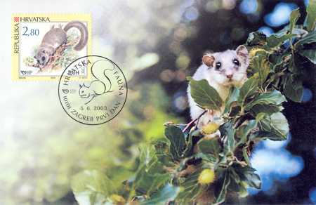 HRVATSKA FAUNA - GLODAVCI - PUH