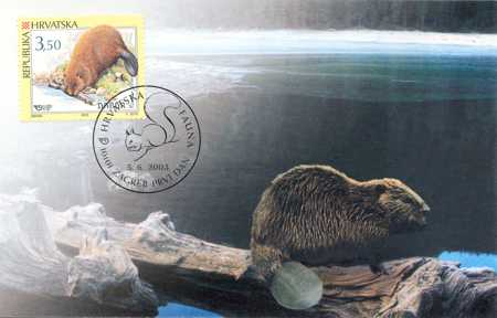HRVATSKA FAUNA - GLODAVCI - DABAR