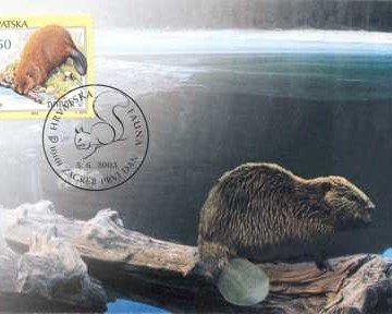 HRVATSKA FAUNA - GLODAVCI - DABAR