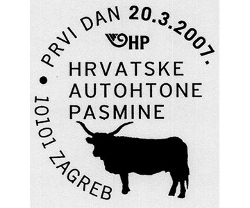 HRVATSKE AUTOHTONE PASMINE