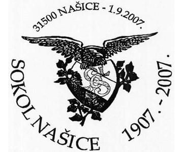 SOKOL NAŠICE 1907. - 2007.