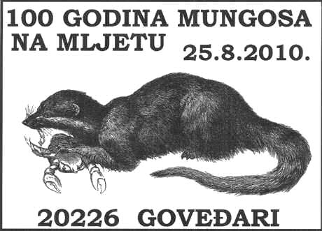 100 GODINA MUNGOSA NA MLJETU